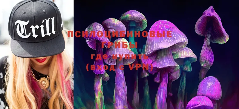 Псилоцибиновые грибы Psilocybine cubensis  где купить   Ртищево 